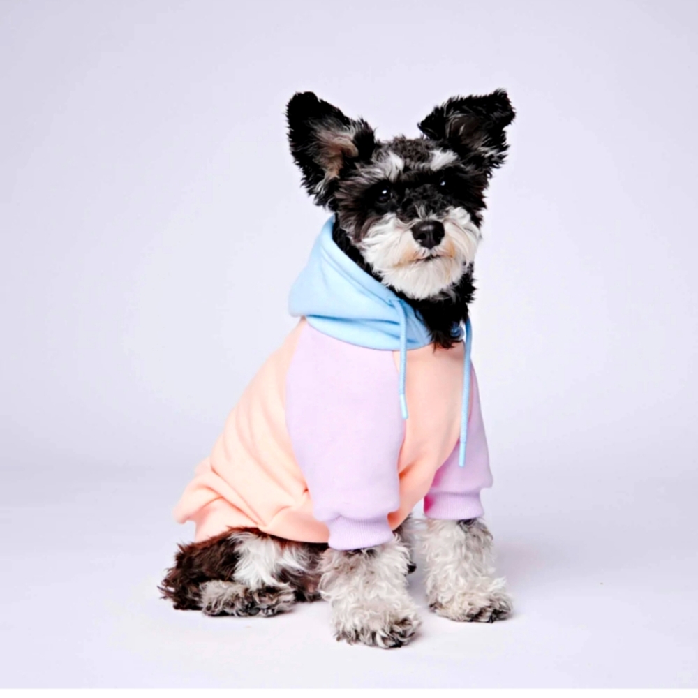 Spark Paws dog hoodie